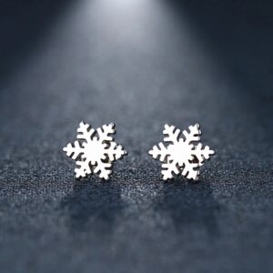 Aretes De Copo De Nieve